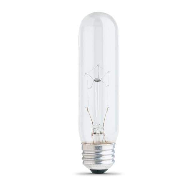 Photo 1 of 25-Watt Soft White (2700K) T10 Dimmable E26 Base Incandescent Light Bulb