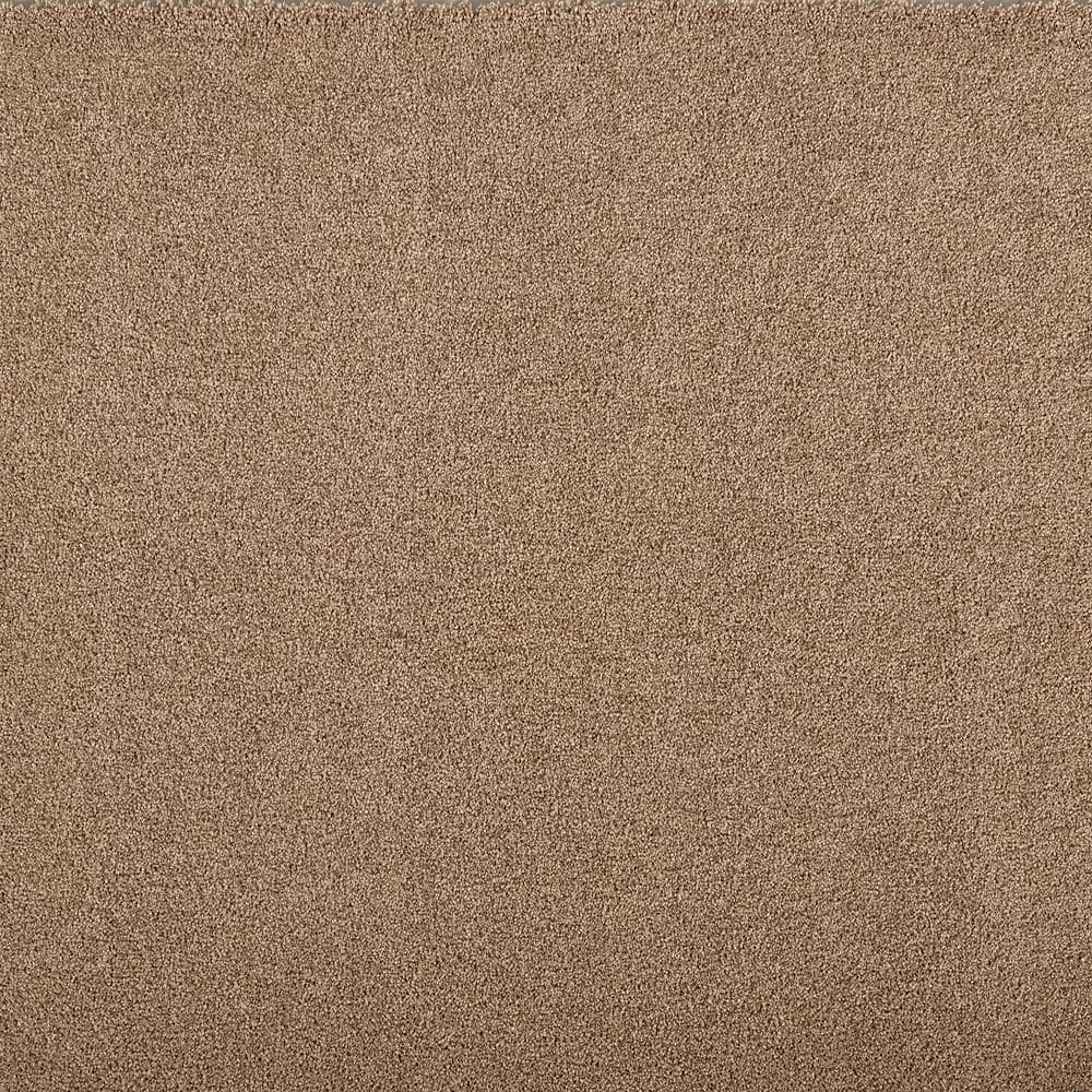 8 in. x 8 in. Texture Carpet Sample - Hainsridge -Color Cabana price history on PriceWatchPro