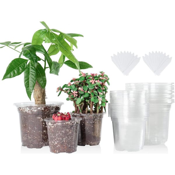 5/4/3.5 in. Clear Nursery Pots with Drainage Hole, Variety Pack Plastic Plant Pot Seed Starter Flower (36 pack)