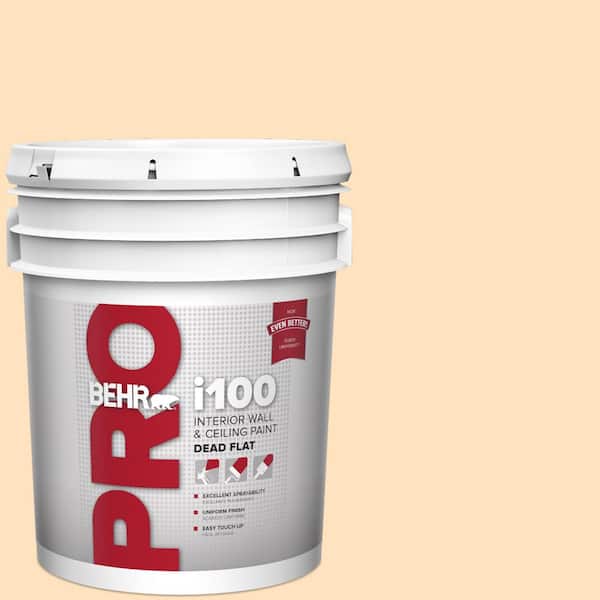 5 gal. #310C-2 Orange Glow Dead Flat Interior Paint