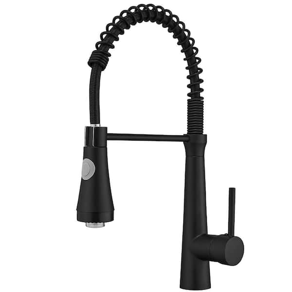 Boyel Living Black LED Single-Handle Faucet Pull-Down Sprayer Kitchen Faucet