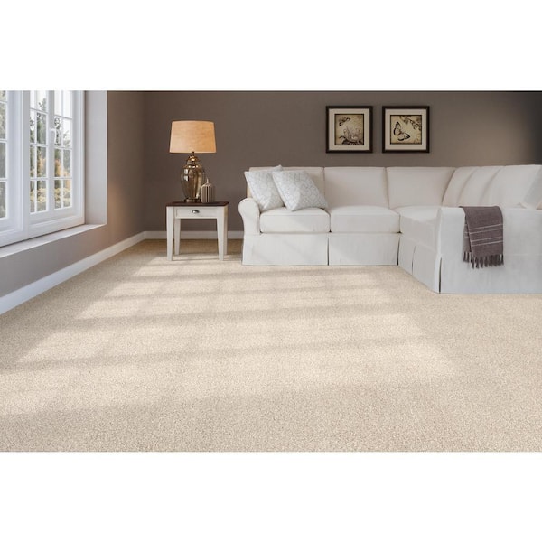 Home Decorators Collection Soft Breath Ii Abbey Gray 60 Oz Sd Polyester Texture Installed Carpet H0118 780 1200 The