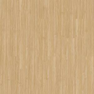 Take Home Sample - Basics Mangrove Landing Glue down Waterproof Luxury Vinyl Plank Flooring