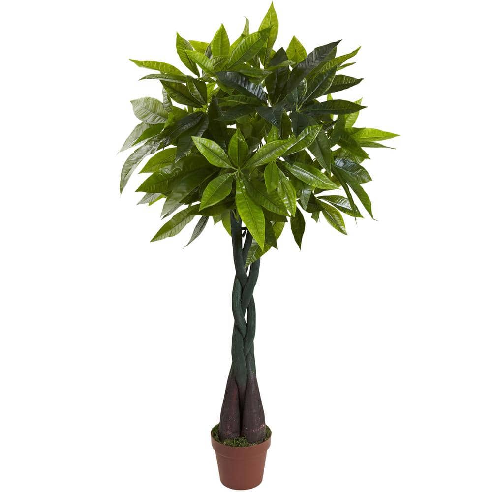 Nearly Natural 4 Ft Money Plant Real Touch 6812 The Home Depot