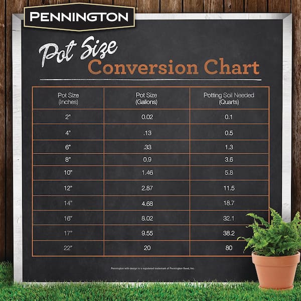 Pennington 2 Gal. 6 Pocket Terra Cotta Strawberry Pot 100043142 - The Home  Depot
