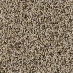 8 in. x  8 in. Texture Carpet Sample - Fireworks II -Color Explosion
