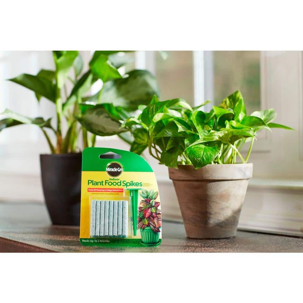 Miracle-Gro - Brandclub - Indoor Plant Food Spikes, Continuous Feeding for  Flowering and Foliage Houseplants, Dry Fertilizer, 24 Spikes