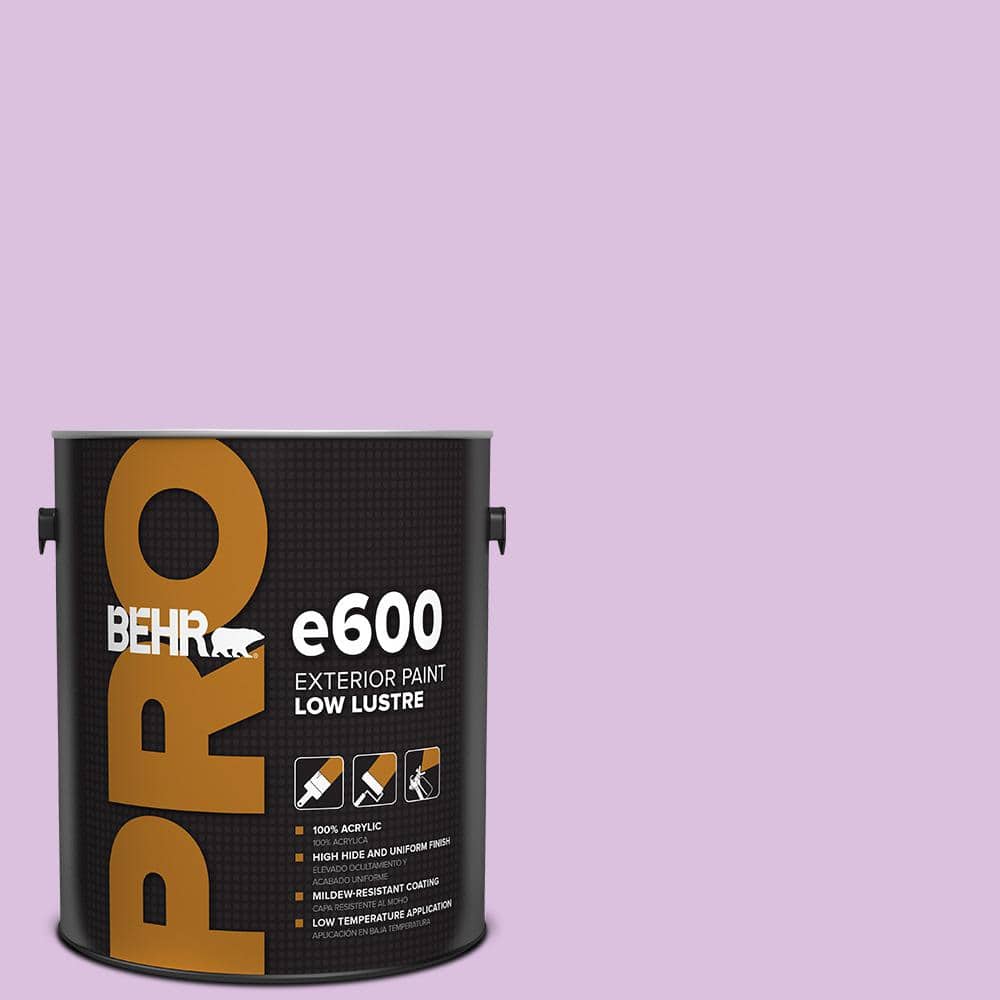 1 gal. #P100-3 Epiphany Low Luster Exterior Paint price history on PriceWatchPro