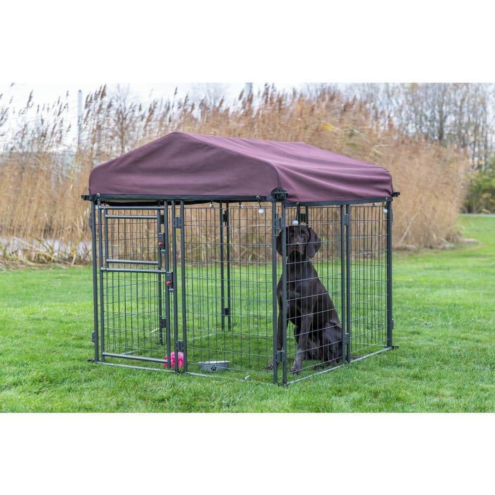 Medium Outdoor Metal Dog Kennel with Cover