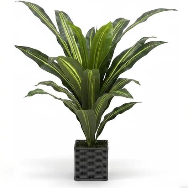 osmocote smart-release plant food plus outdoor & indoor Buy Osmocote Plus Plant Food in Pakistan – Slow Release Fertilizer main image 1