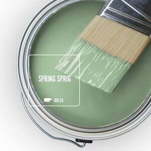 BIC-25 Spring Sprig Paint