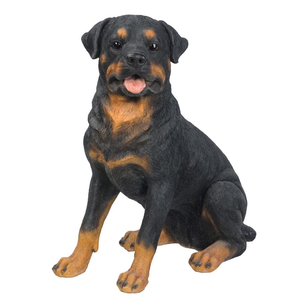 HI-LINE GIFT LTD. Large Rottweiler Sitting Statue 87688 - The Home