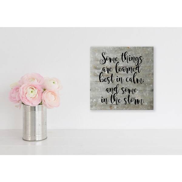 Unbranded Reclaimed Steel Metal Wall Art "SOMETHINGS ARE LEARNED IN THE STORM" Decorative Sign