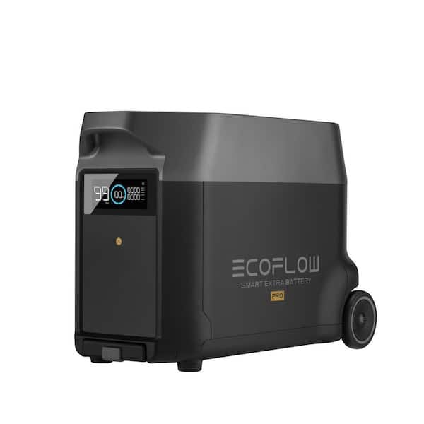EF ECOFLOW Portable Power Station 3600Wh DELTA Pro, 120V AC Outlets x 5,  3600W, 2.7H Fast Charge, Lifepo4 Power Station, Solar Generator for Home  Use