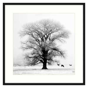Winter's Morning Fog IV Black Frame Photography Wall Art 40 in. x 40 in