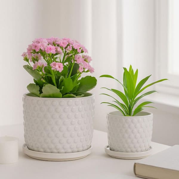 Liv & Skye 6 in. and 8 in. White Ceramic Bubble Saucer Decorative