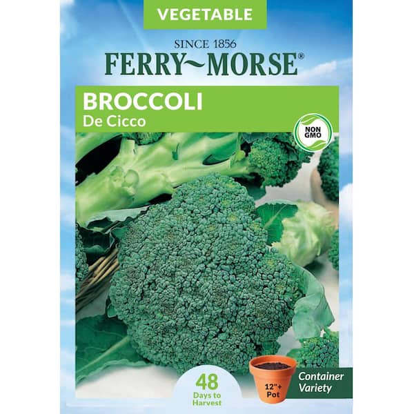 Broccoli De Cicco Vegetable Seed