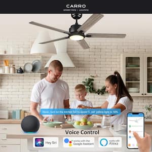 Essex 52 in. Dimmable LED Indoor/Outdoor Black Smart Ceiling Fan with Light and Remote, Works w/Alexa/Google Home