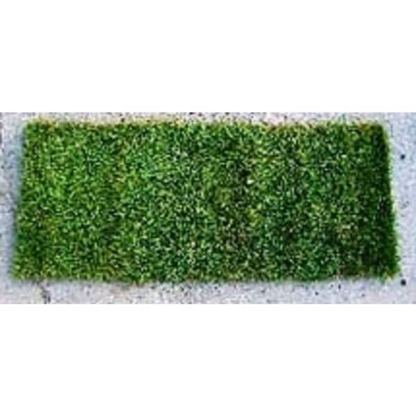 Harmony 2.6 sq. ft. Bermuda Sod