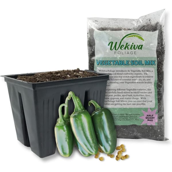 Wekiva Foliage Bambino Pepper Seed Starter Kit-Pepper Seeds Liner Tray and Half Quart Vegetable Soil Mix-Grow Your Own Vegetables