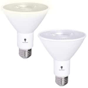 100-Watt Equivalent B11 Household Indoor/Outdoor LED Light Bulb in Warm White (2-Pack)