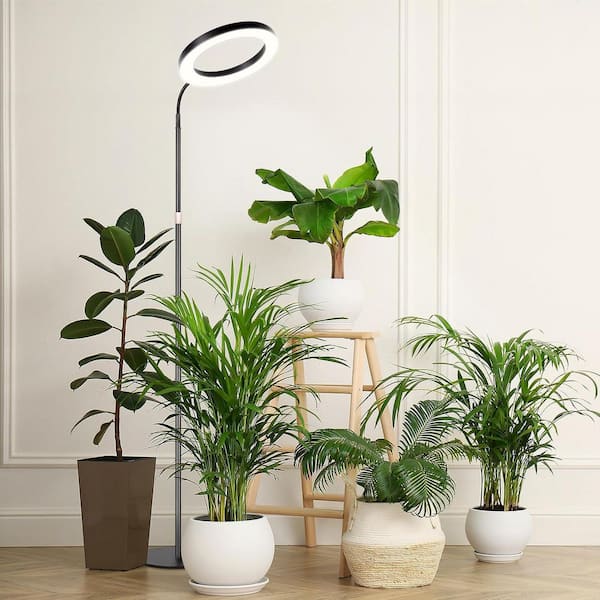 10.2 in. Black Full Spectrum Grow Light with Stand, 4-Level Dimmable Floor Lamp with Auto Timer, Adjustable Height