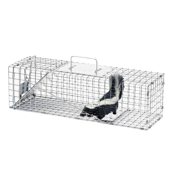 Humane Live Animal Trap for Kitten Possum Squirrel Rabbit Groundhog Mole Gopher, 24inch Live Traps for Smaller Animals Outdoor Indoor Collapsible