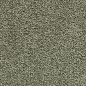 Unblemished I  - Meditation - Green 45 oz. Triexta Texture Installed Carpet