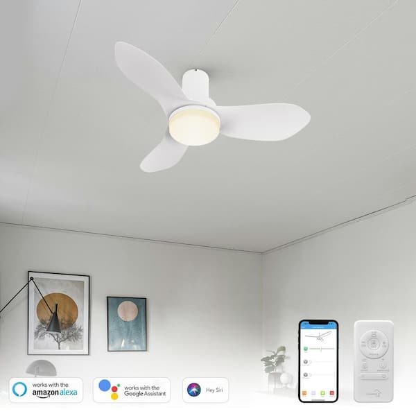 Daisy II 36 in. Dimmable LED Indoor White Smart Ceiling Fan with Light and Remote, Works with Alexa and Google Home