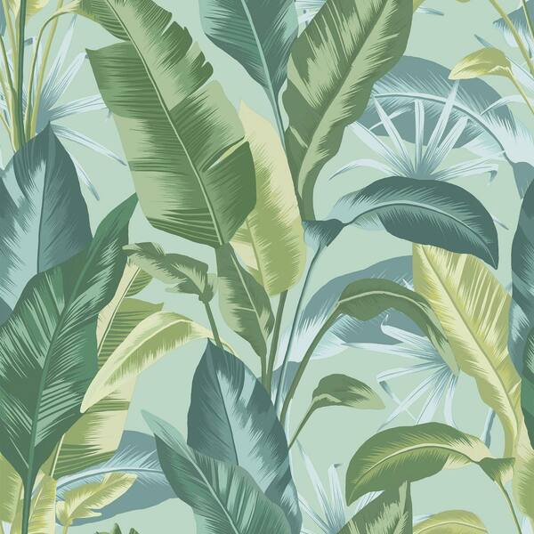 Envy Leaf It Out Twilight Matte Non Woven Removable Paste The Wall Wallpaper Sample