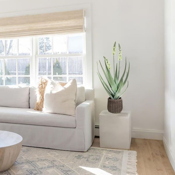 38 in. Green Indoor Artificial Aloe Vera Plant in Brown Wicker Planter