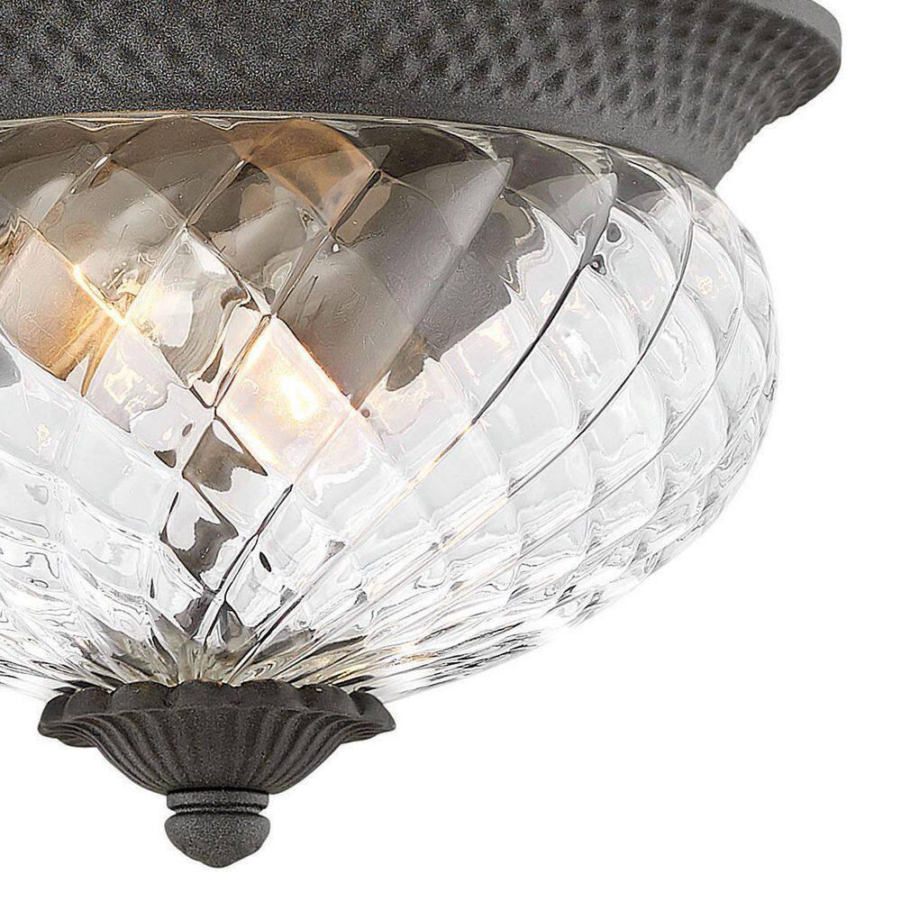 Museum Black Clear Glass 2-Light LED Outdoor Sconce