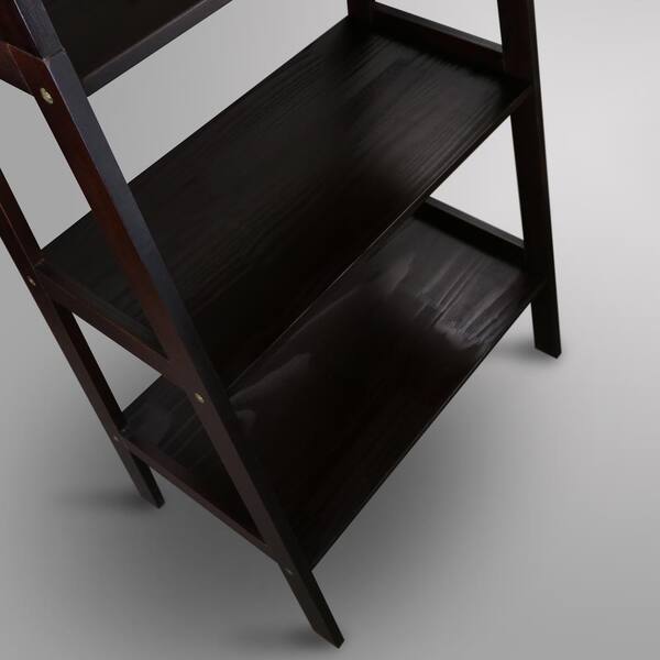 Erin ladder online bookcase