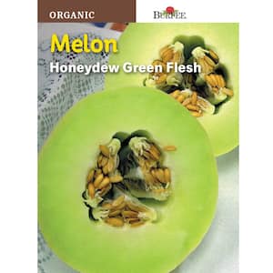 Melon Honey Green Flesh Organic Seed