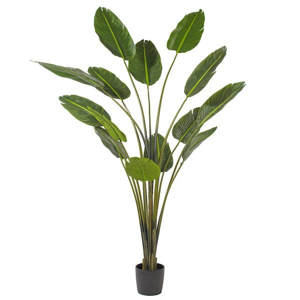 Vickerman 7 ft. Green Artificial Travelers Palm Tree in Pot