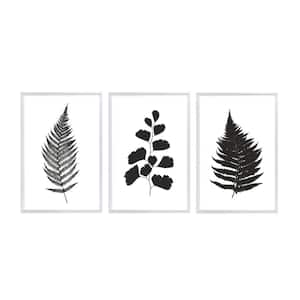 Botanical Ferns Framed Canvas Wall Art - 12 in. x 18 in. Each, by Kelly Merkur 3-Piece Set White Frames