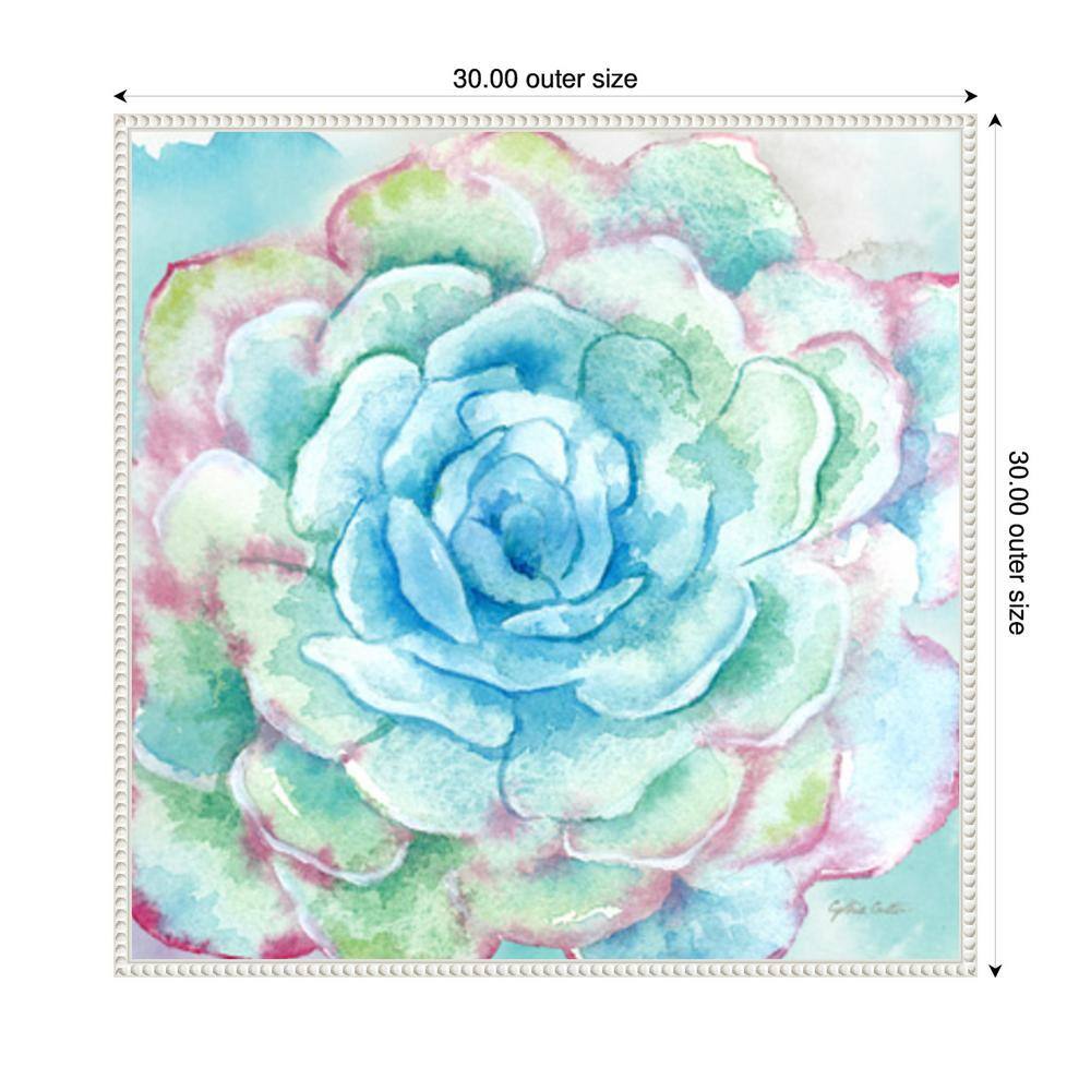 Sweet Succulents I 30"x30" Watercolor Canvas Print in White Frame
