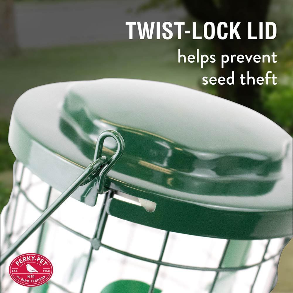 Green Metal and Plastic Squirrel Resistant Hanging Bird Feeder