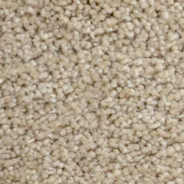 Home Decorators Collection Stargazer  - Twilight - Beige 32 oz. SD Polyester Texture Installed Carpet