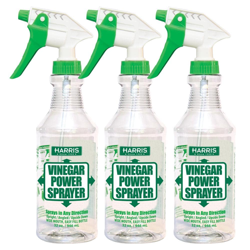 Hydior 2oz Clear Glass Spray Bottles for Essential Oils, Small Spray Bottle  with Plastic Sprayer - Set of 3