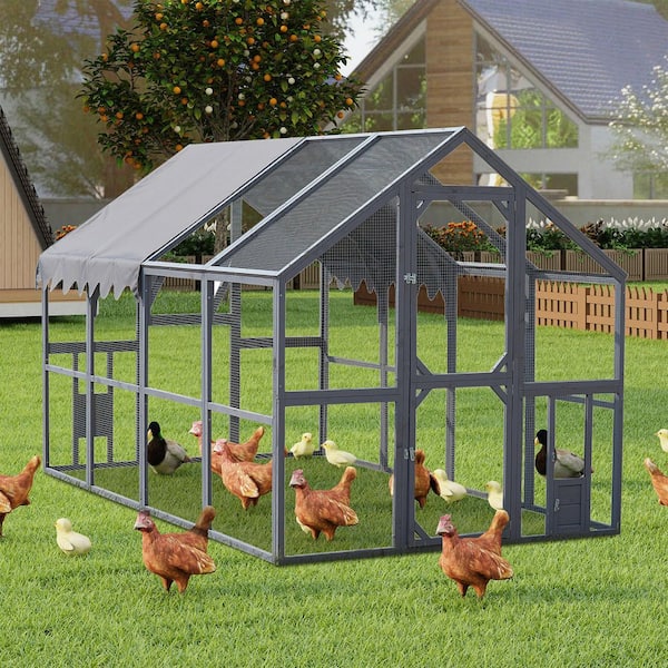 10 ft. W x 8 ft. D Outdoor Wooden Chicken Coop with Metal Fence, Upgrade Waterproof Cover, Grey