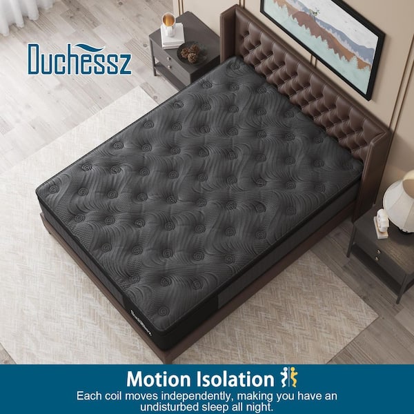 MAJESTICA キュー　MF-11 MAJESTICA キュー MF-11 Exedy Mustang Mach 600 Stage 2