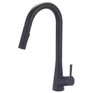 i2 Single-Handle Pull-Down Sprayer Kitchen Faucet with Straight Sprayer in Matte Black