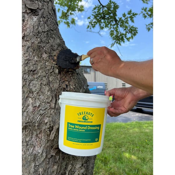 Treekote Tree Wound Dressing 1 Gallon Bucket