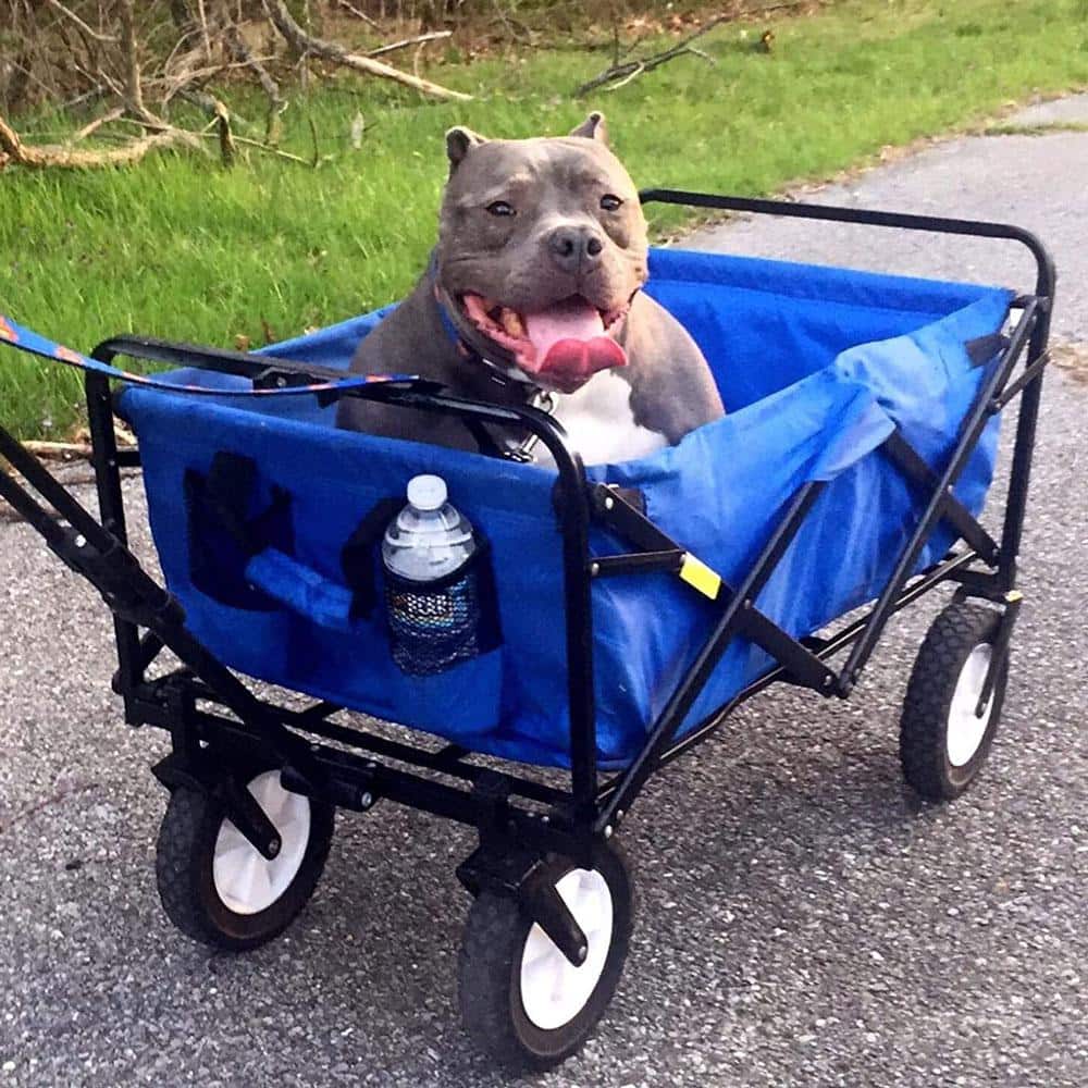Blue Heavy Duty Collapsible Fabric Utility Wagon with Rubber Wheels