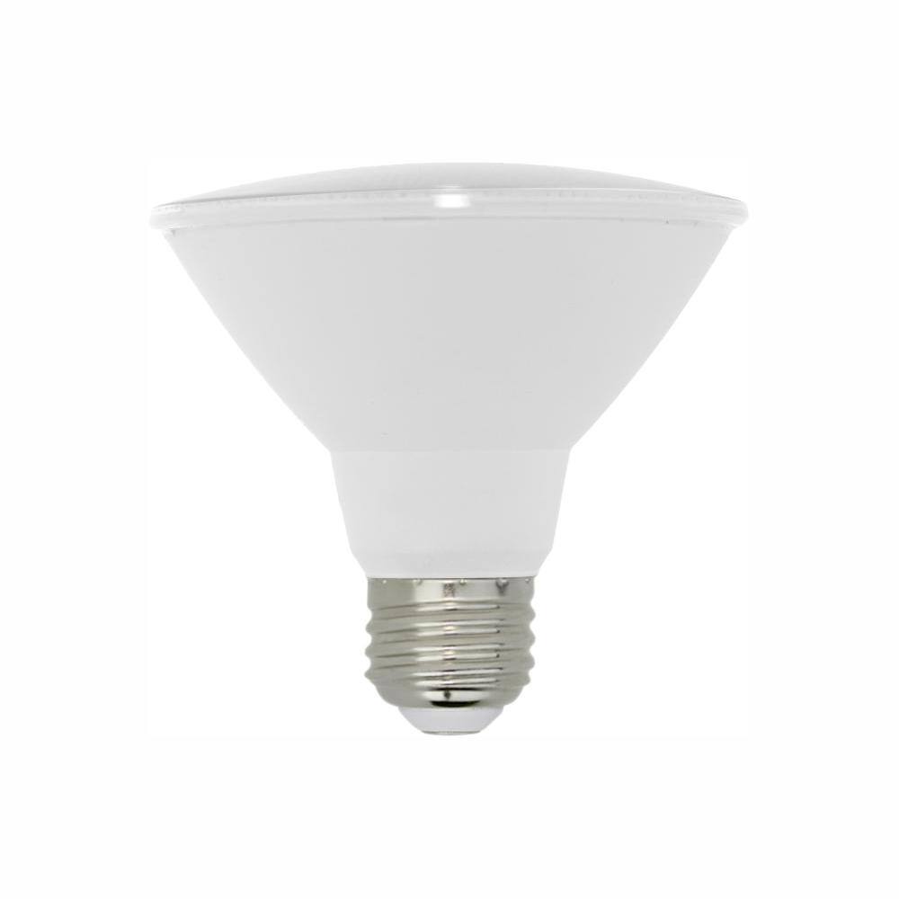 par30 bulb home depot