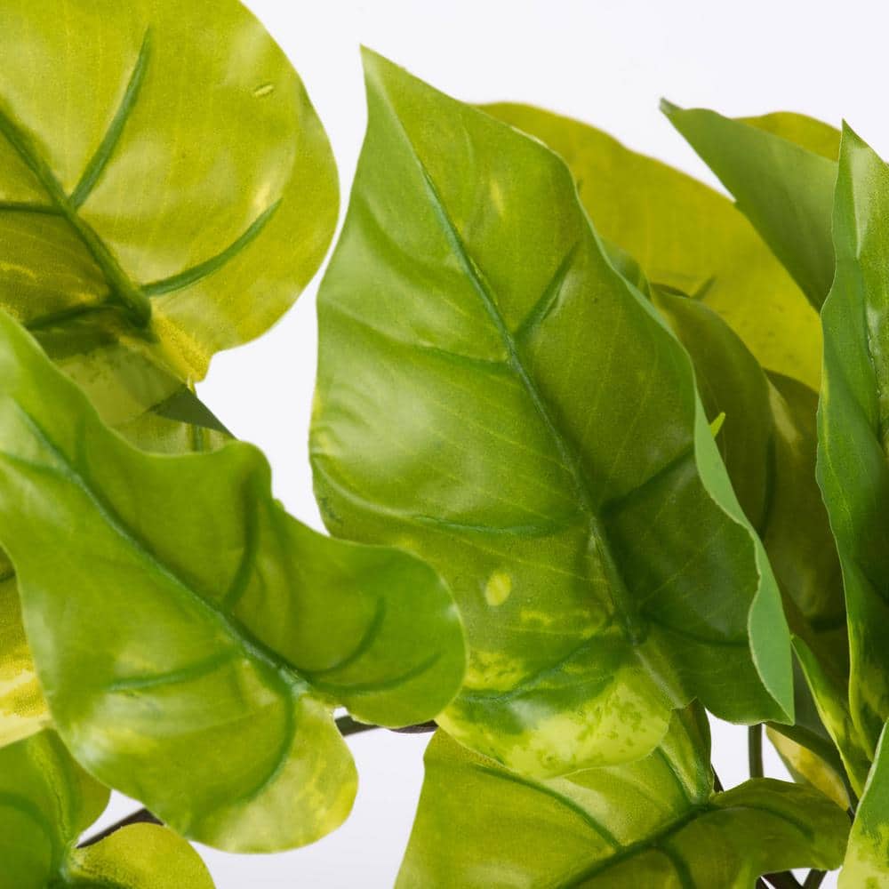 EverGreen 24" Lush Pothos Vine Arrangement - Outdoor Friendly, Pack of 2