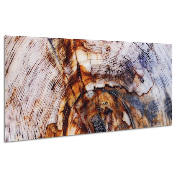 63 in. x 24 in. "Impact A" Frameless Free Floating Tempered Glass Panel Graphic Art