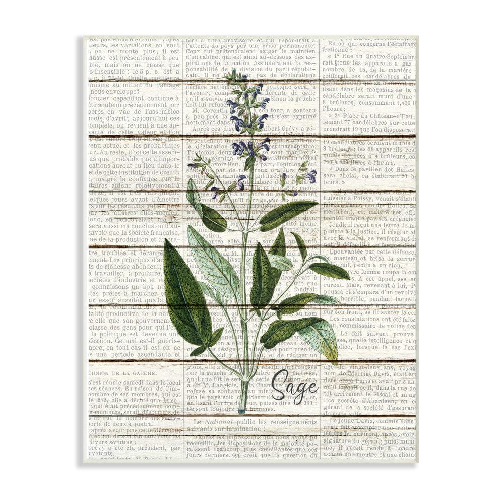 Stupell Industries 10 in. x 15 in. ""Sage Vintage Herb Kitchen Dining Room Word Collage"" by Kimberly Allen Wood Wall Art, Multi-Colored -  kwp2105wd10x15