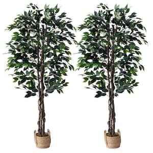 60 in. Green Artificial Ficus Tree in Basket (2-Pack)